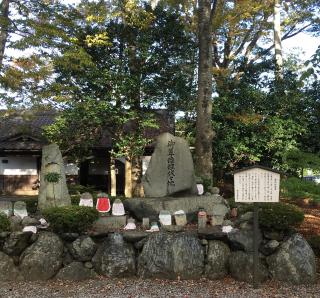 向源寺(渡岸寺観音堂)の参拝記録(Junjunさん)