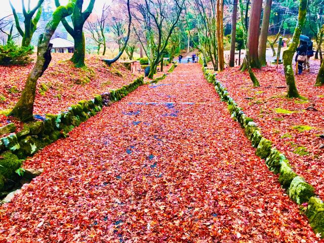 鶏足寺(旧飯福寺)の参拝記録5