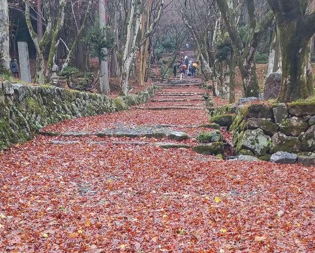 鶏足寺(旧飯福寺)の参拝記録4