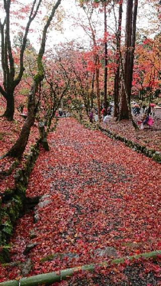 鶏足寺(旧飯福寺)の参拝記録(すたーくさん)