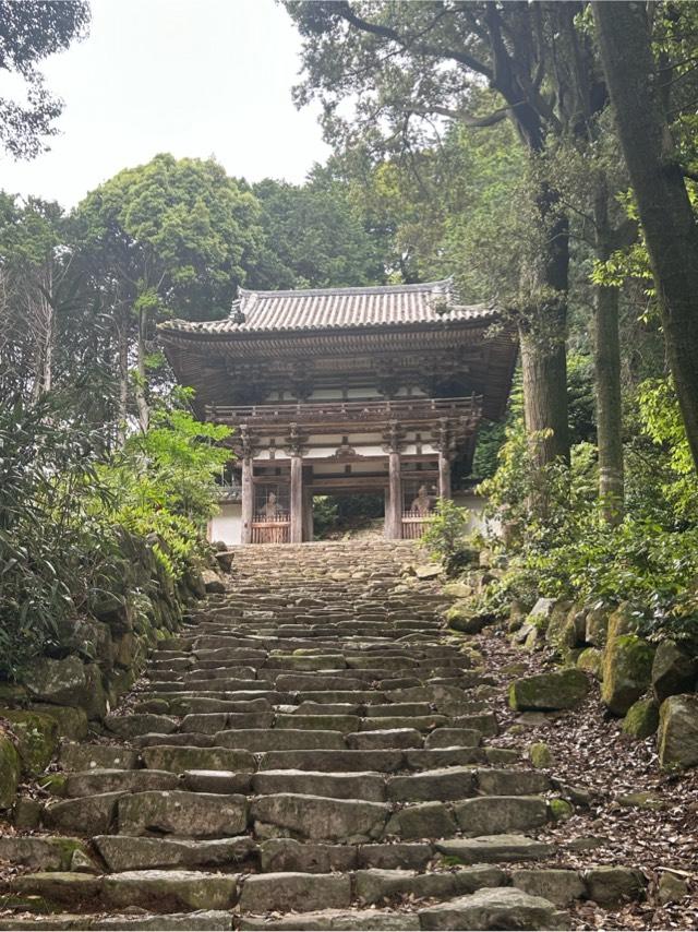 遠景山 摠見寺(総見寺)の参拝記録7