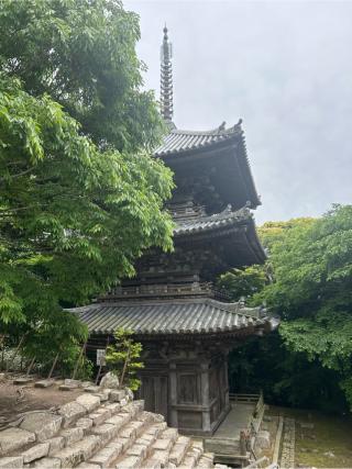 遠景山 摠見寺(総見寺)の参拝記録(yossiさん)