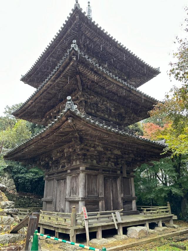 遠景山 摠見寺(総見寺)の参拝記録8