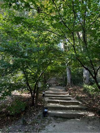 繖山 教林坊の参拝記録(まりもさん)