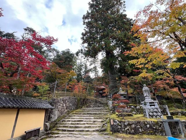 龍應山 西明寺の参拝記録7