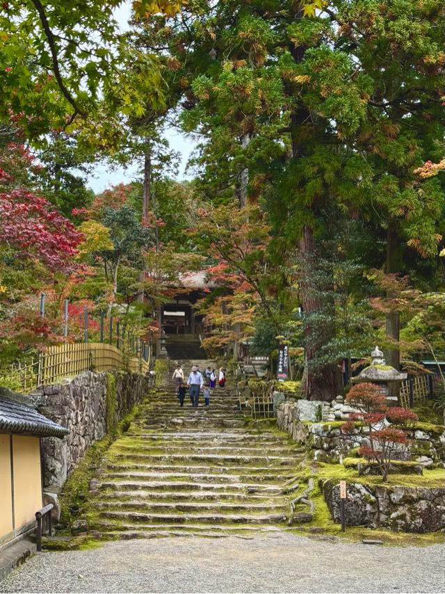 龍應山 西明寺の参拝記録8