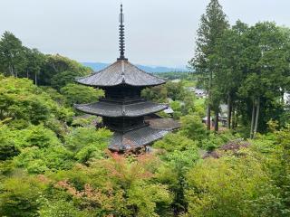 常樂寺の参拝記録(ルルさん)