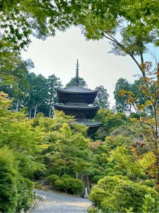 常樂寺の参拝記録(qo_opさん)