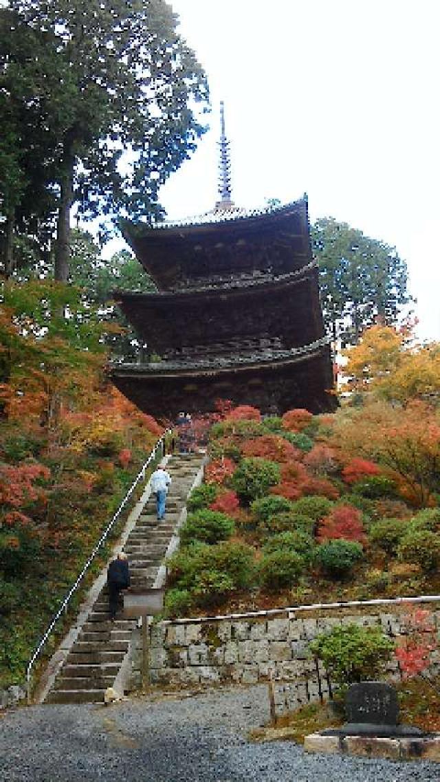 滋賀県湖南市西寺6-5-1 常樂寺の写真2