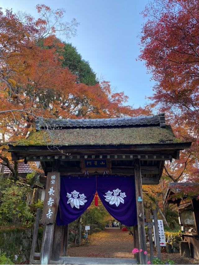 長寿寺の参拝記録6