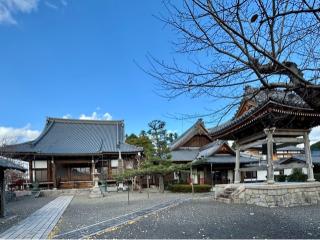 大徳寺の参拝記録(qo_opさん)