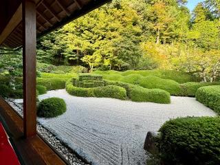 大池寺の参拝記録(qo_opさん)