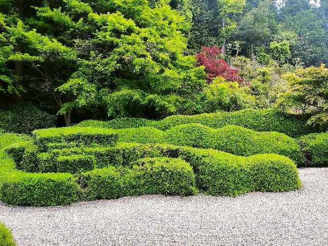 大池寺の参拝記録3