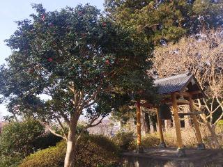 長承寺の参拝記録(ＦÙKUさん)