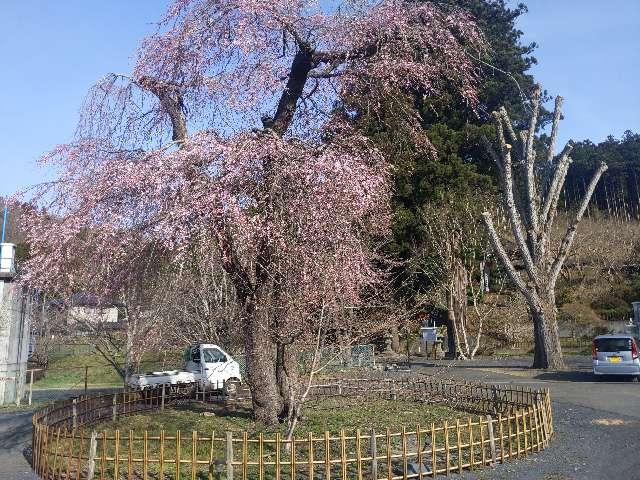 宮城県登米市中田町上沼大泉門畑28 長承寺の写真2
