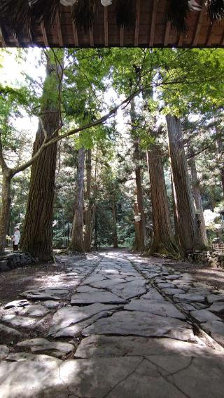 柳津虚空蔵尊 寳性院の参拝記録(桃さん)