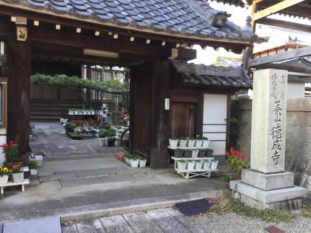 滋賀県守山市洲本町1454 徳成寺の写真1