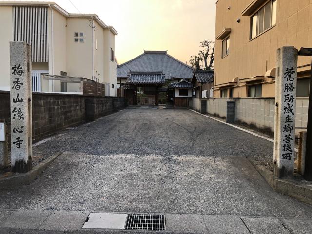 滋賀県大津市丸の内町1-20 縁心寺の写真1