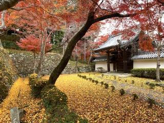 戒光山 西教寺の参拝記録(JAMさん)