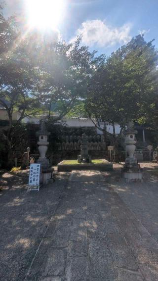 戒光山 西教寺の参拝記録(えのさんさん)