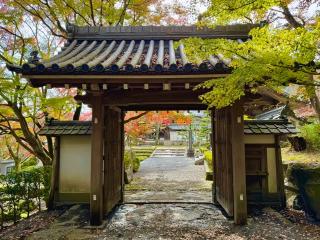 戒光山 西教寺の参拝記録(qo_opさん)