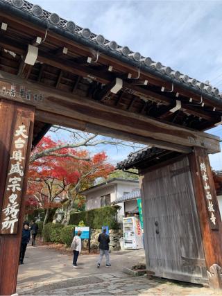 戒光山 西教寺の参拝記録(はまちゃんさん)