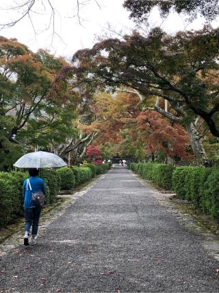 戒光山 西教寺の参拝記録(なおちゃんさん)