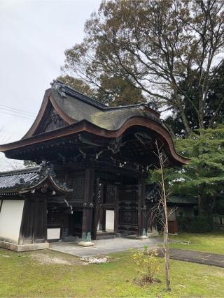 戒光山 西教寺の参拝記録(なおちゃんさん)