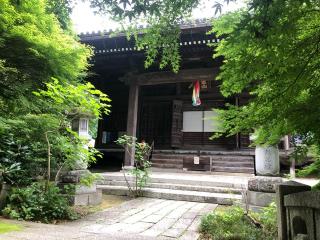 勝軍山 新放生寺 舎那院の参拝記録(竹林さん)