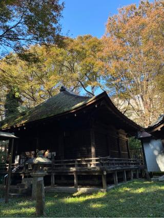 勝軍山 新放生寺 舎那院の参拝記録(こにたんさん)