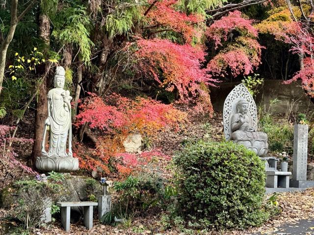 安楽寺の参拝記録1