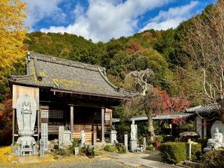 安楽寺の参拝記録(qo_opさん)