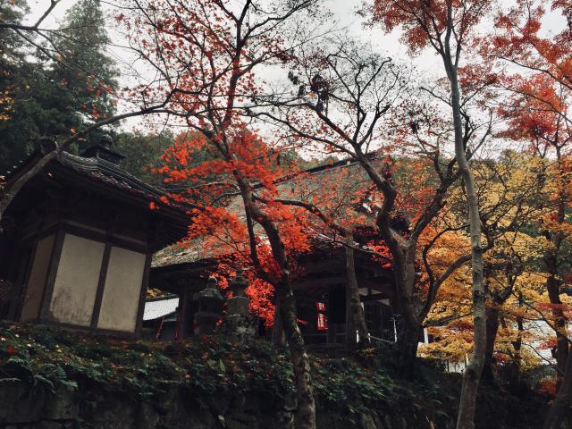 滋賀県東近江市建部瓦屋寺町436 石崎山 瓦屋寺の写真3