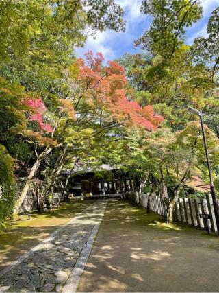 瑞石山 永源寺の参拝記録(まろんさん)