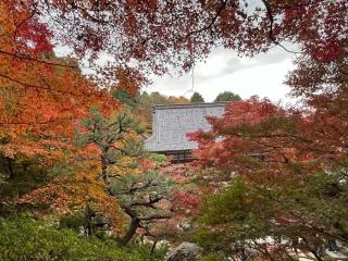 釈迦山 百済寺の参拝記録(はとさん)