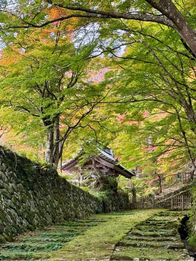釈迦山 百済寺の参拝記録10