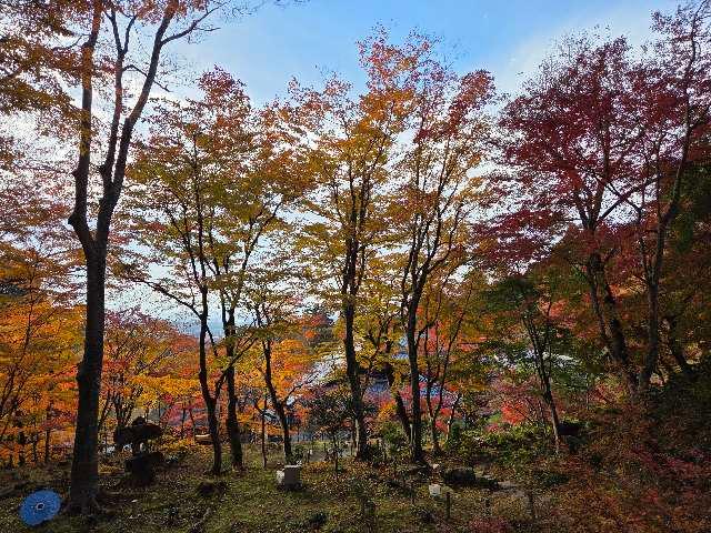 釈迦山 百済寺の参拝記録9