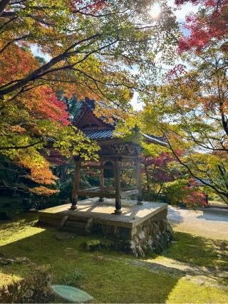 東光寺の参拝記録(qo_opさん)