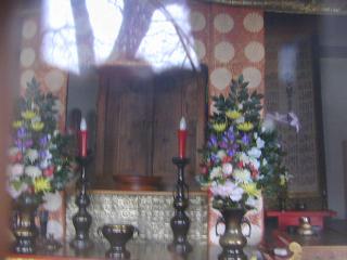 今村山 淡墨観音堂の参拝記録(いちかわさん)