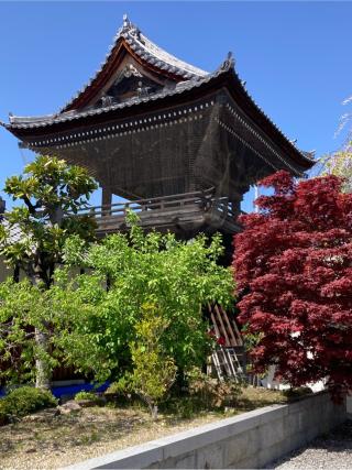 弘誓山 天白院 宗安寺の参拝記録(まさるさん)