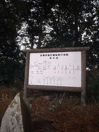 大雄寺の参拝記録(桃さん)