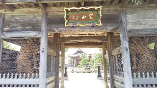 大雄寺の参拝記録(ひろ神社仏閣さん)