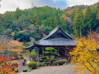 大原観音寺の参拝記録(qo_opさん)