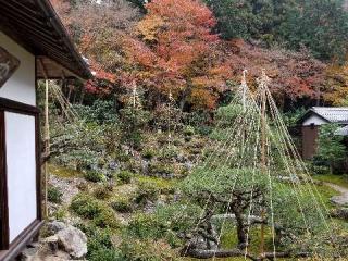 青岸寺の参拝記録(せせりさん)