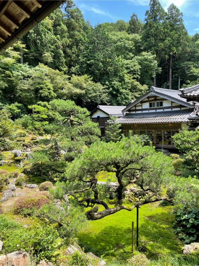 青岸寺の参拝記録(まろんさん)