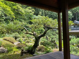 青岸寺の参拝記録(まろんさん)