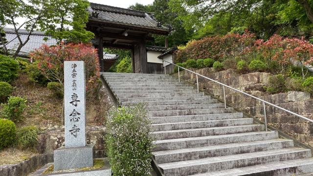 専念寺の参拝記録2
