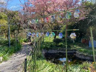 朝日山 惠心院の参拝記録(テラりんさん)