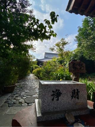 天真院の参拝記録(さくらさん)