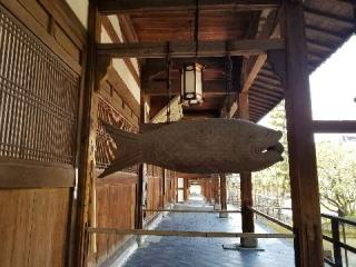 黄檗山 萬福寺の参拝記録(じゅん。さん)